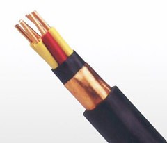 廣州電纜廠屏蔽電纜 KVVP KVV22控制電纜